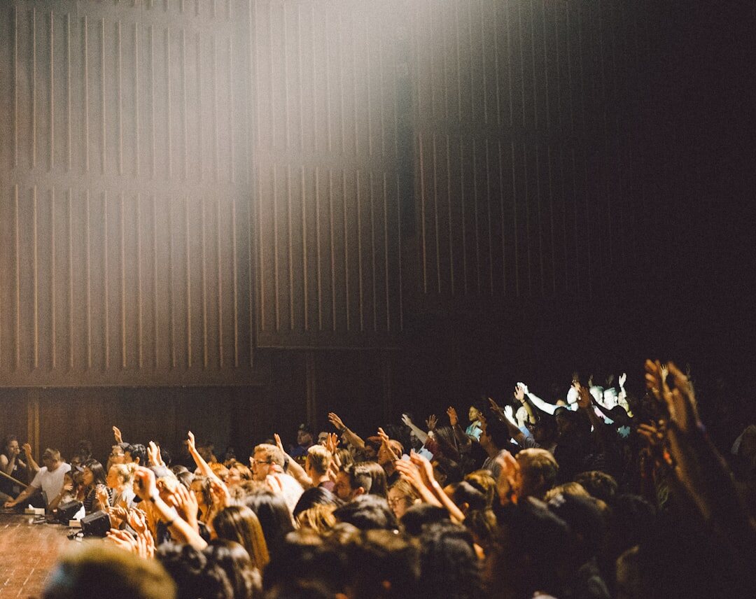 film festival audience